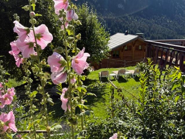 Le Roitelet - Chambre Double - Vue sur Montagne - 6