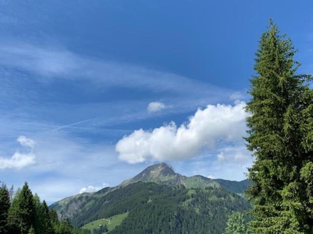 Le Roitelet - Chambre Double - Vue sur Montagne - 18