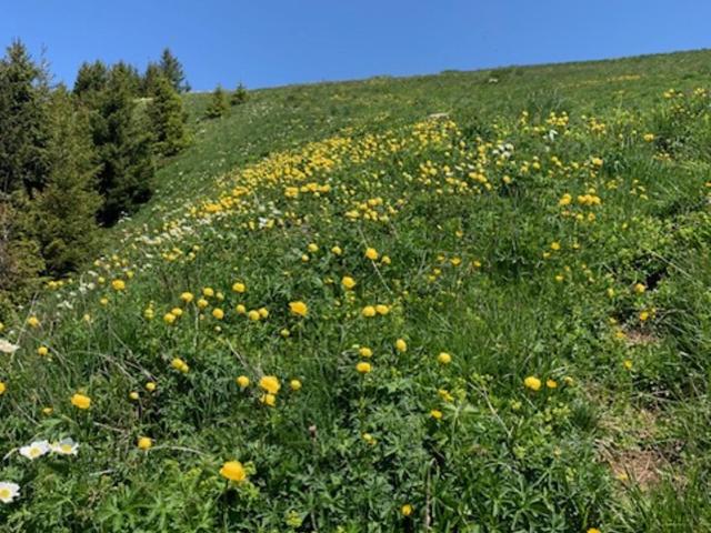 Le Roitelet - Chambre Double - Vue sur Montagne - 20