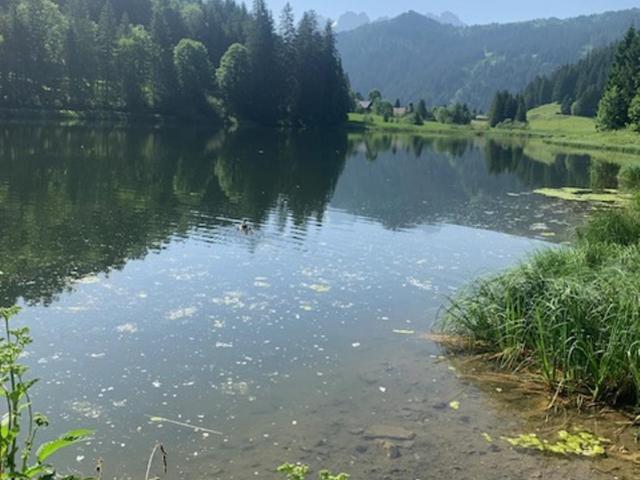 Le Roitelet - Chambre Double - Vue sur Montagne - 24
