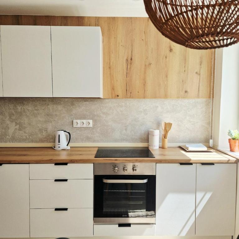 Honey Nest City Center - Apartman sa 1 Spavaćom Sobom - 2