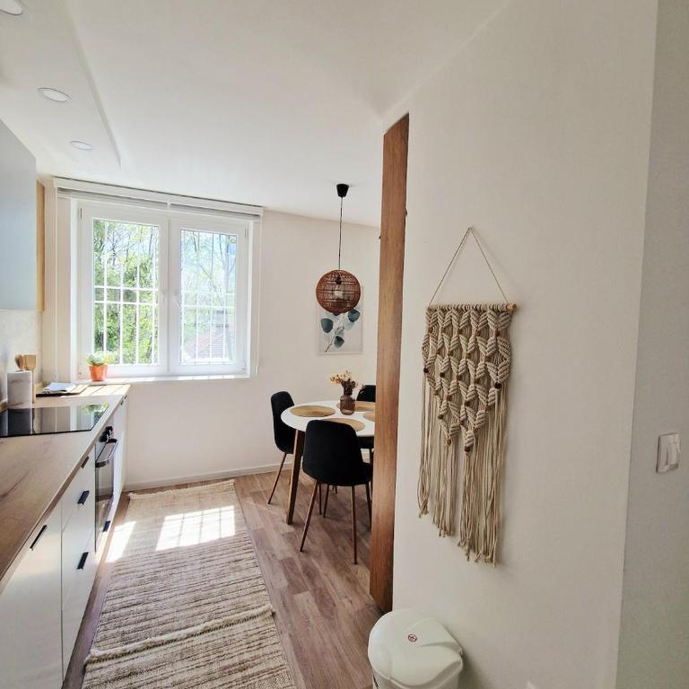 Honey Nest City Center - Apartman sa 1 Spavaćom Sobom - 11