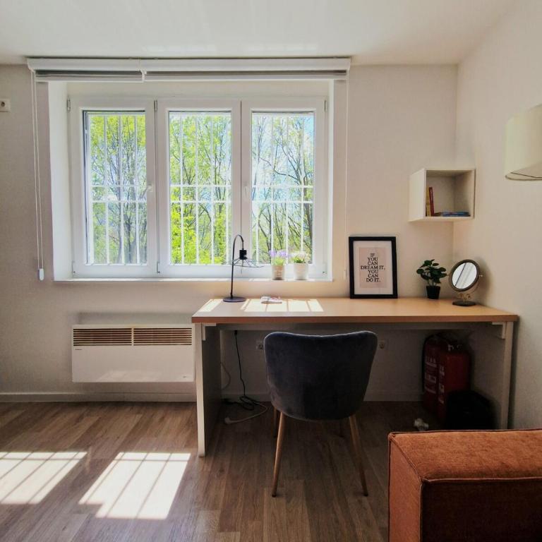 Honey Nest City Center - Apartman sa 1 Spavaćom Sobom - 25