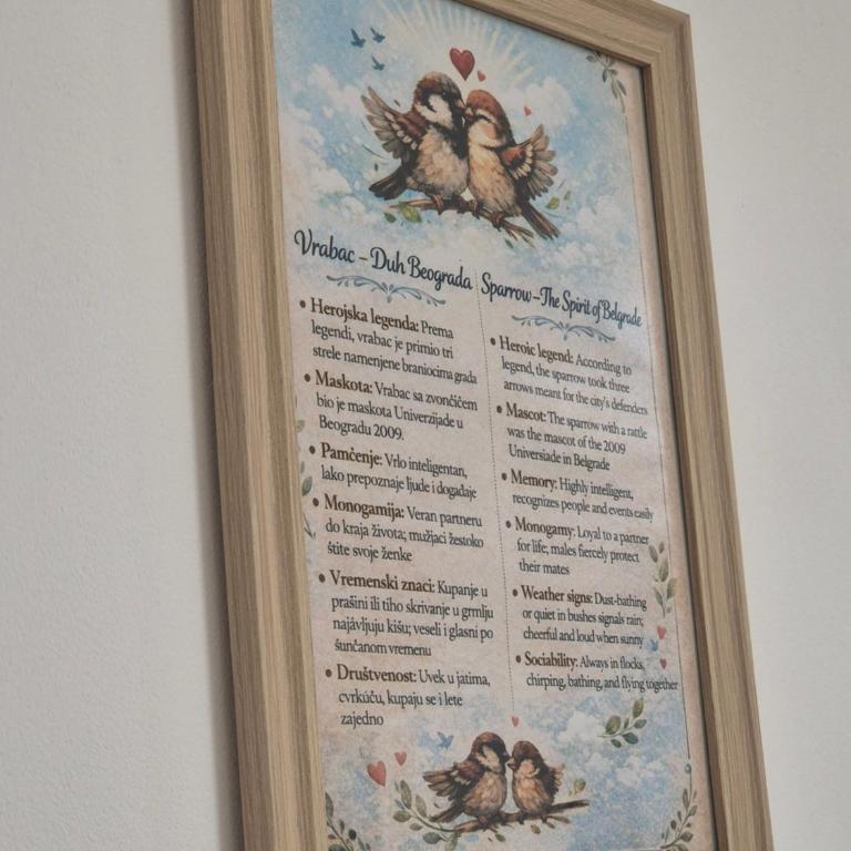 Vrapčići sa Vračara - Studio sa Bračnim Krevetom (King-size) - 14