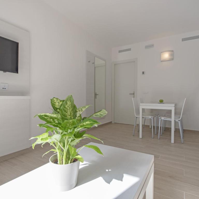 Hotel THB Flora - Apartamento Superior de 1 dormitorio (2 adultos) - 4