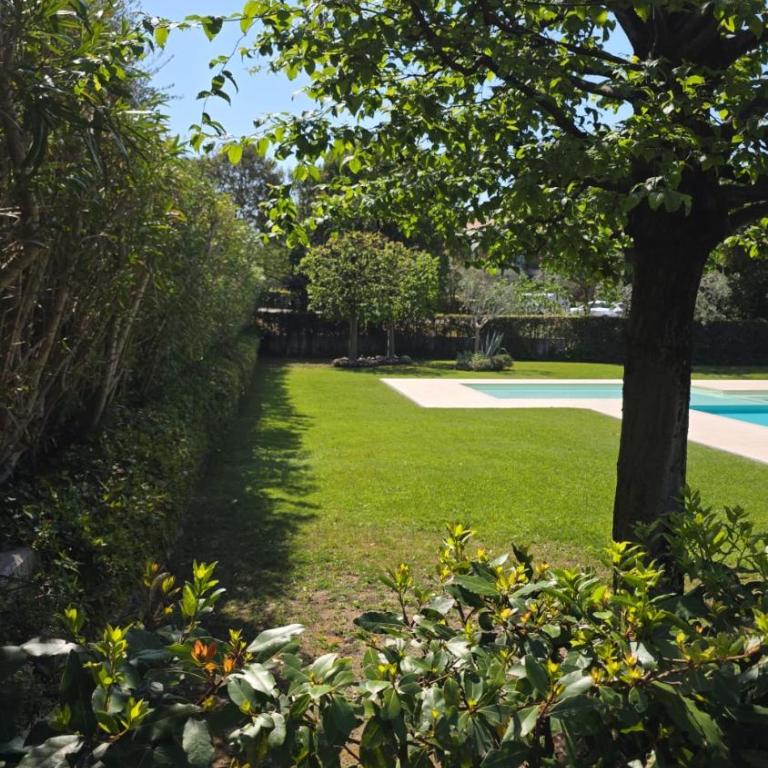 Casa Nido tra gli Ulivi - Appartamento Familiare con 2 Camere da Letto - 11