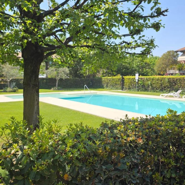 Casa Nido tra gli Ulivi - Appartamento Familiare con 2 Camere da Letto - 2