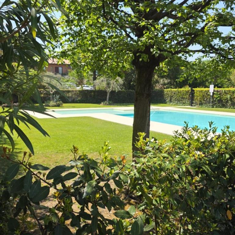 Casa Nido tra gli Ulivi - Appartamento Familiare con 2 Camere da Letto - 10