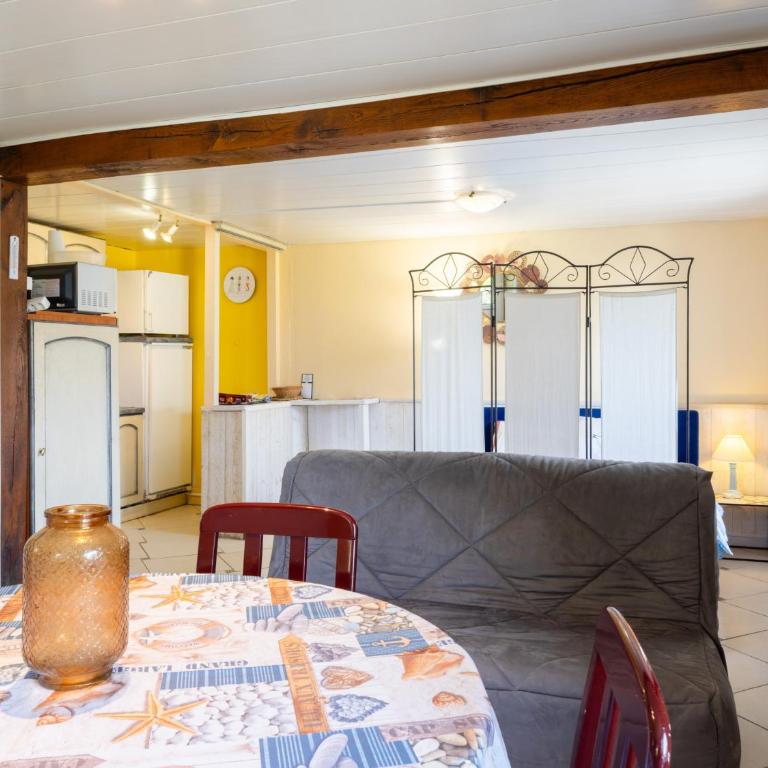 Grand studio - Studio with Terrace - 2