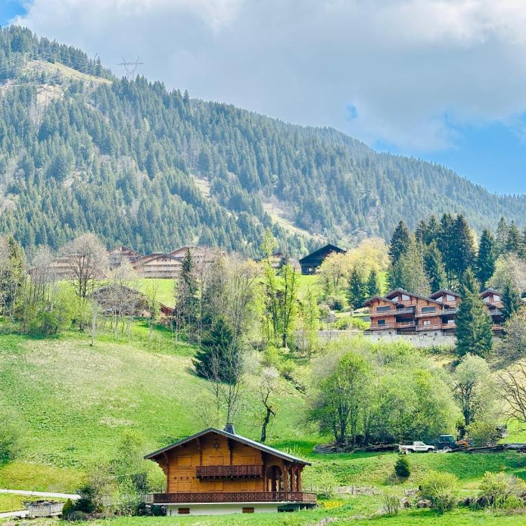 Perce Neige n°30 - Charmant T3 + coin montagne - Apartment mit 2 Schlafzimmern - 24