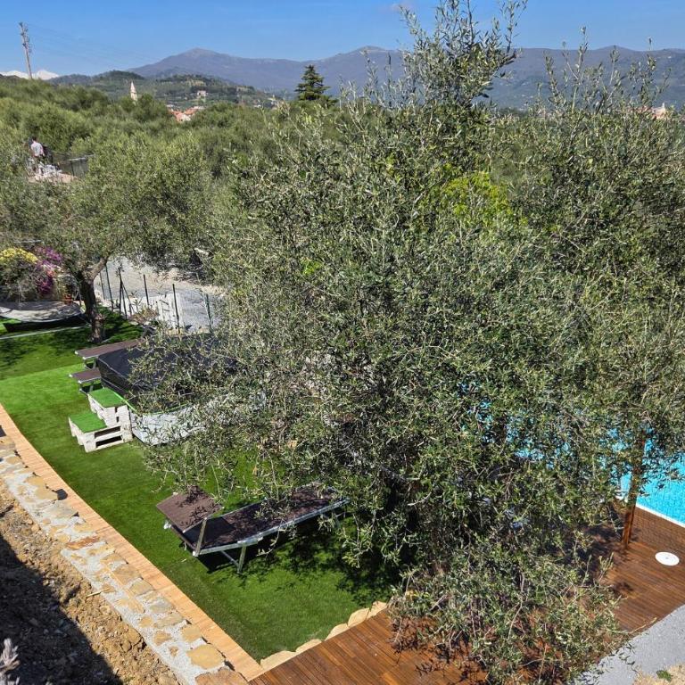 Appartamento Palme - Casa Vacanze con 1 Camera da Letto - 7