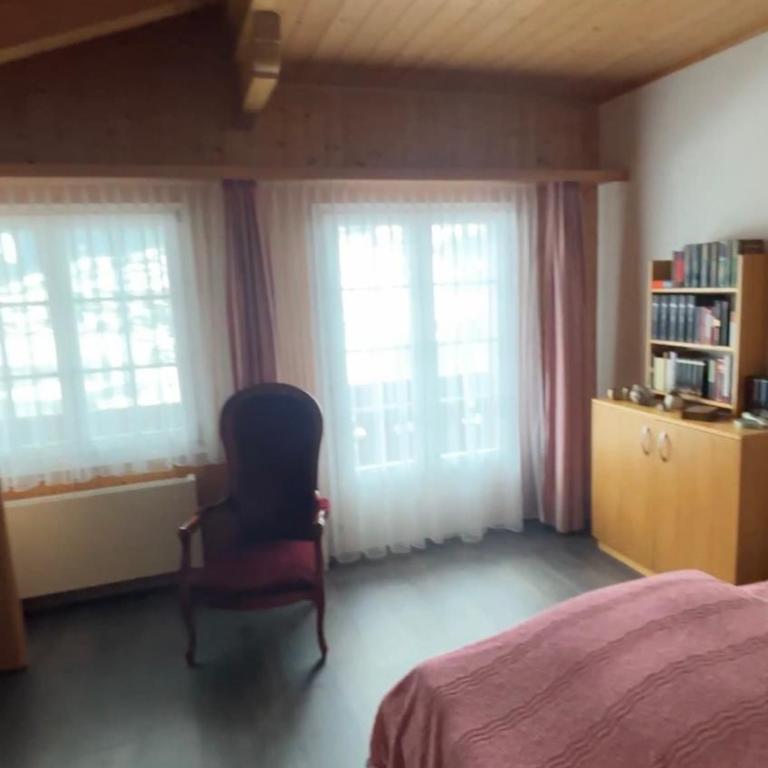 Chalet Amaryllis - Jungfrau View Apartment - Apartment mit 1 Schlafzimmer - 5