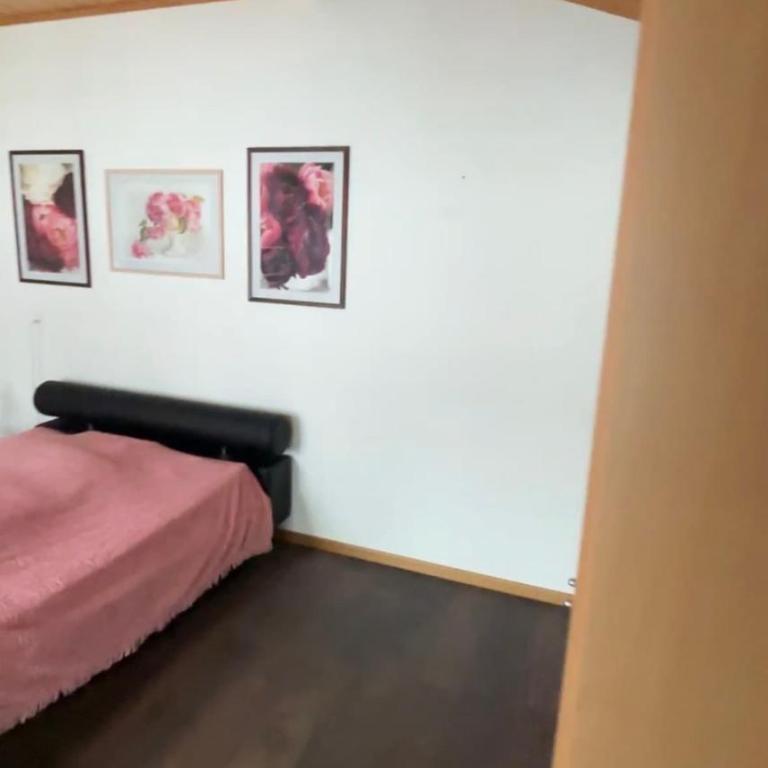 Chalet Amaryllis - Jungfrau View Apartment - Apartment mit 1 Schlafzimmer - 11