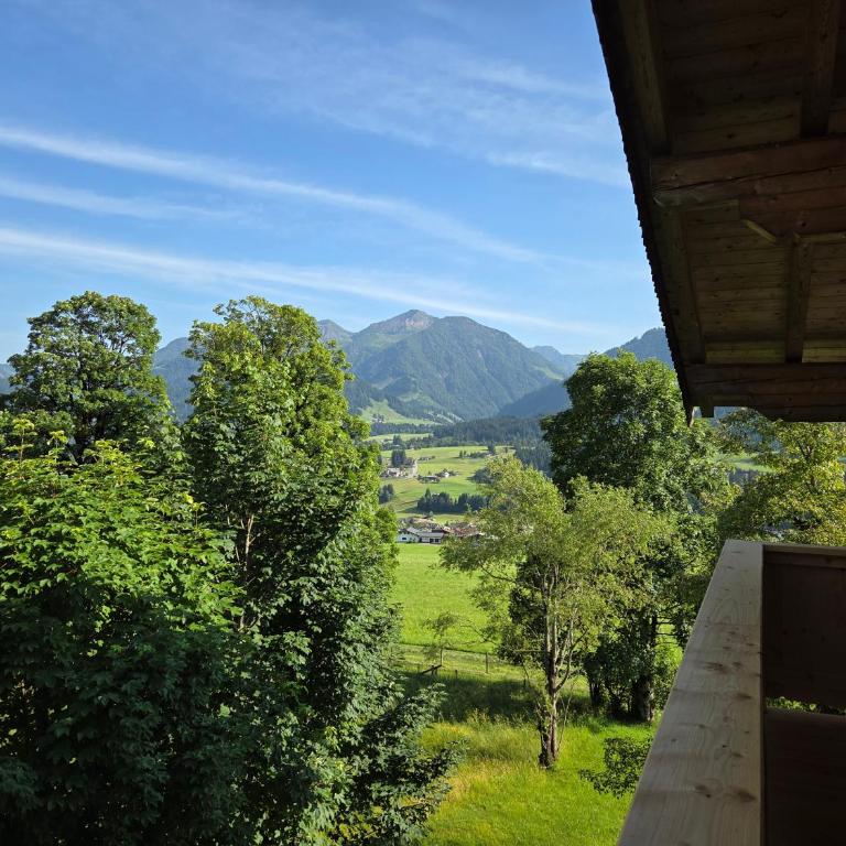 Ferienwohnungen Hausbacher-Bichlhof - Apartment mit 1 Schlafzimmer und Dusche - 2