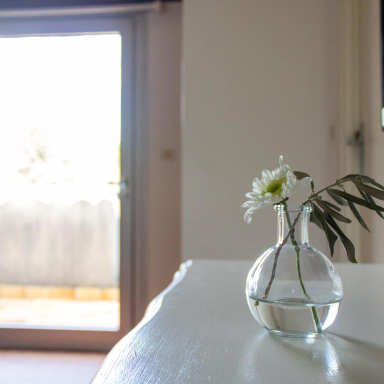 GOLF CLUB D'UZES - Chambre Double - Vue sur Jardin - 3