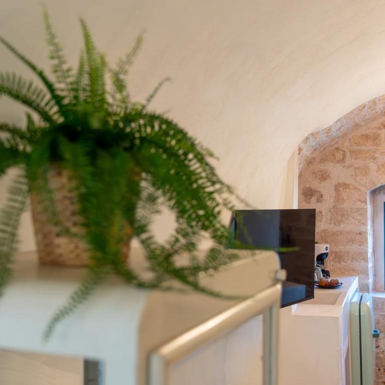 Luminosa Puglia - il CUORE AUTENTICO di OSTUNI - Casa con 1 Camera da Letto - 25