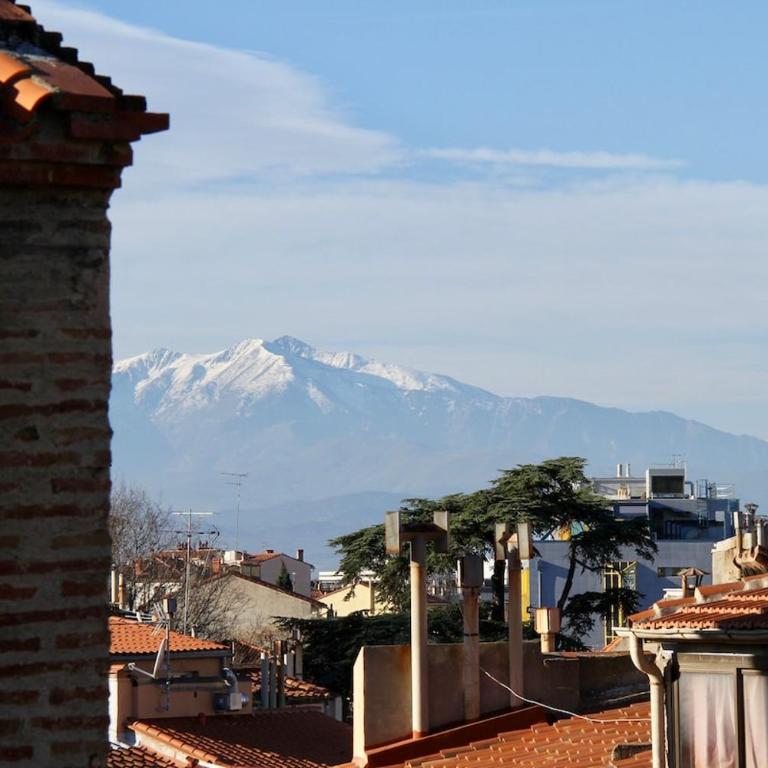 Charming duplex with 2 terraces - One-Bedroom Apartment - 3