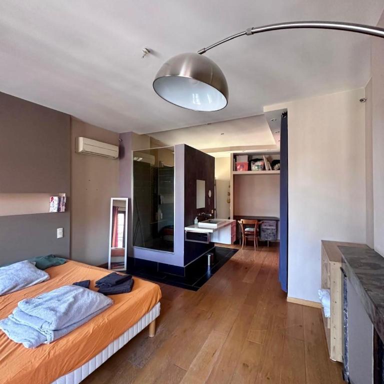 Charming duplex with 2 terraces - One-Bedroom Apartment - 24