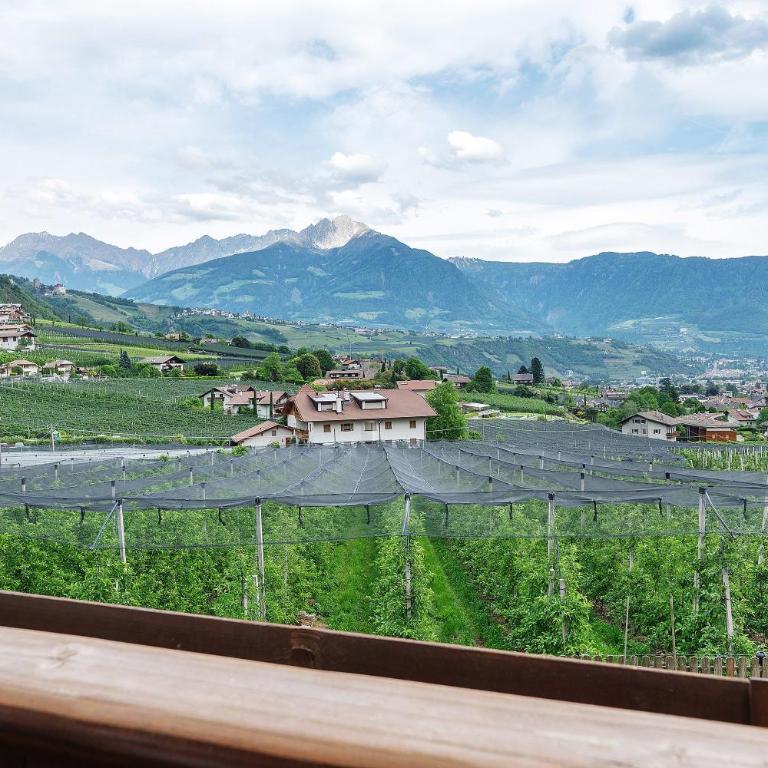 Residence Sonngart - Chambre Double - Vue sur Montagne - 2