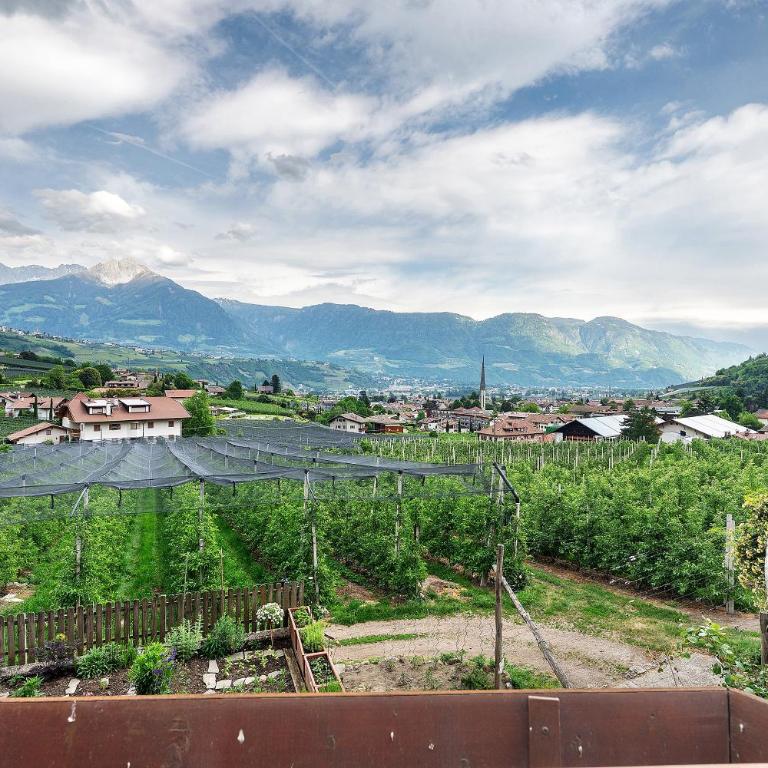 Residence Sonngart - Chambre Double - Vue sur Montagne - 7
