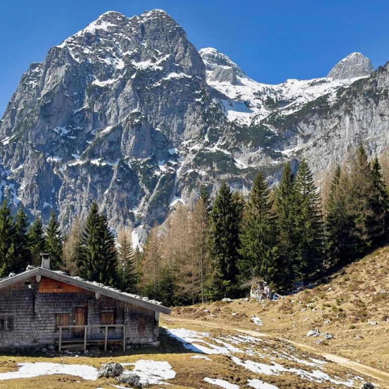 Boutique Apartment „Kleiner Watzmann“ - Appartamento con Vista Montagna - 32