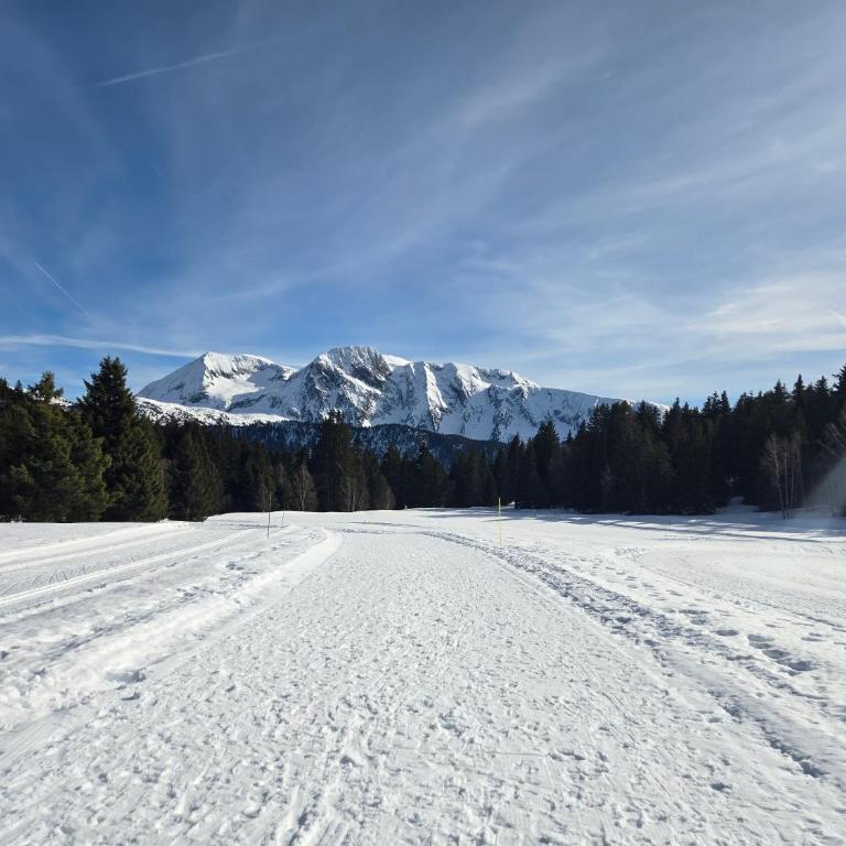 T3 au pied des pistes - Appartement 2 Chambres - 48