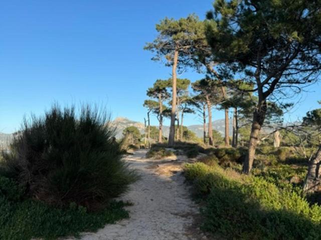 Bel appartement vue mer-montagne - Appartamento con 2 Camere da Letto - 15