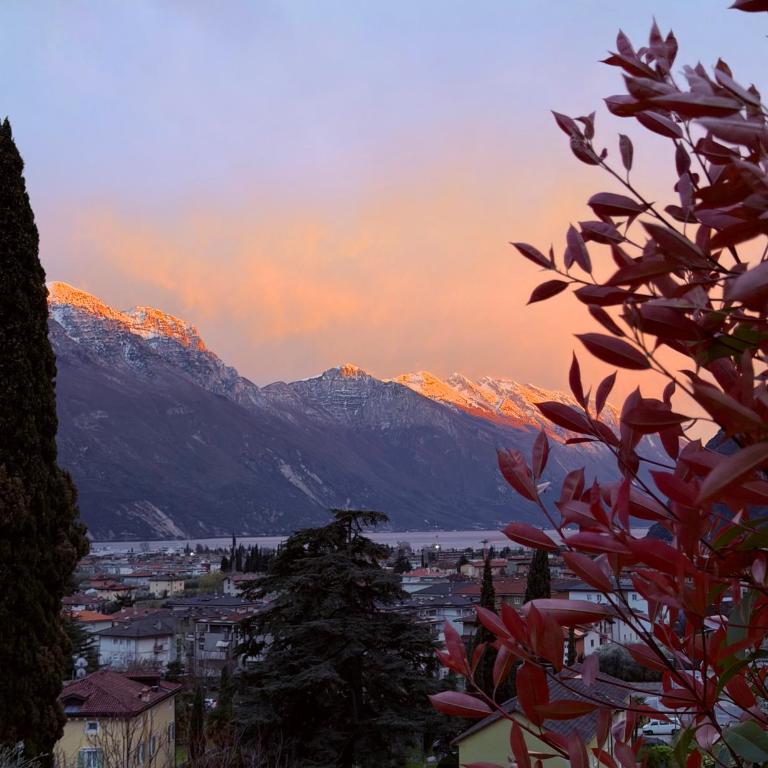 View & Chill Apartment - Appartamento con 1 Camera da Letto - 19