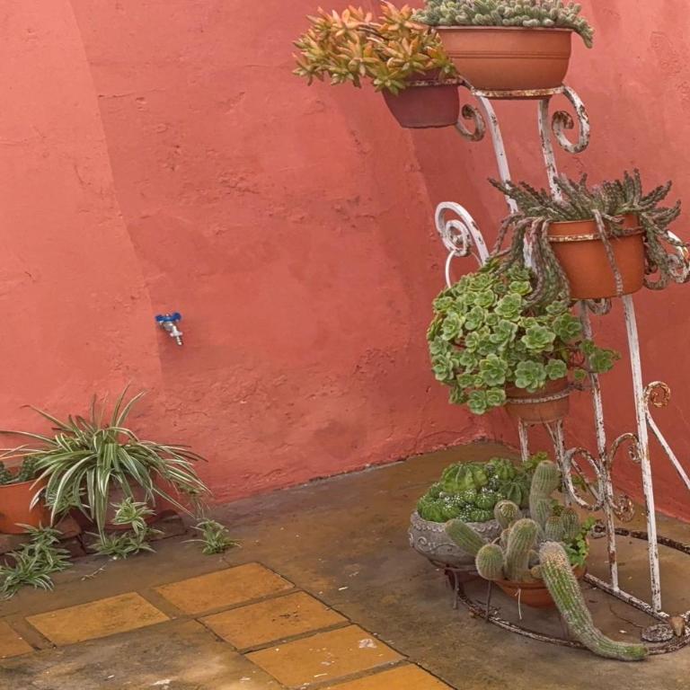 Lo de Mingo - Two-Bedroom House - 8
