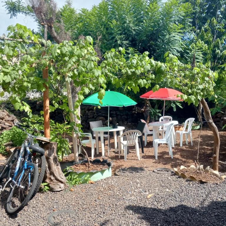 Private room for 4 people, Casa Oasis Galapagos - One-Bedroom Apartment - 3