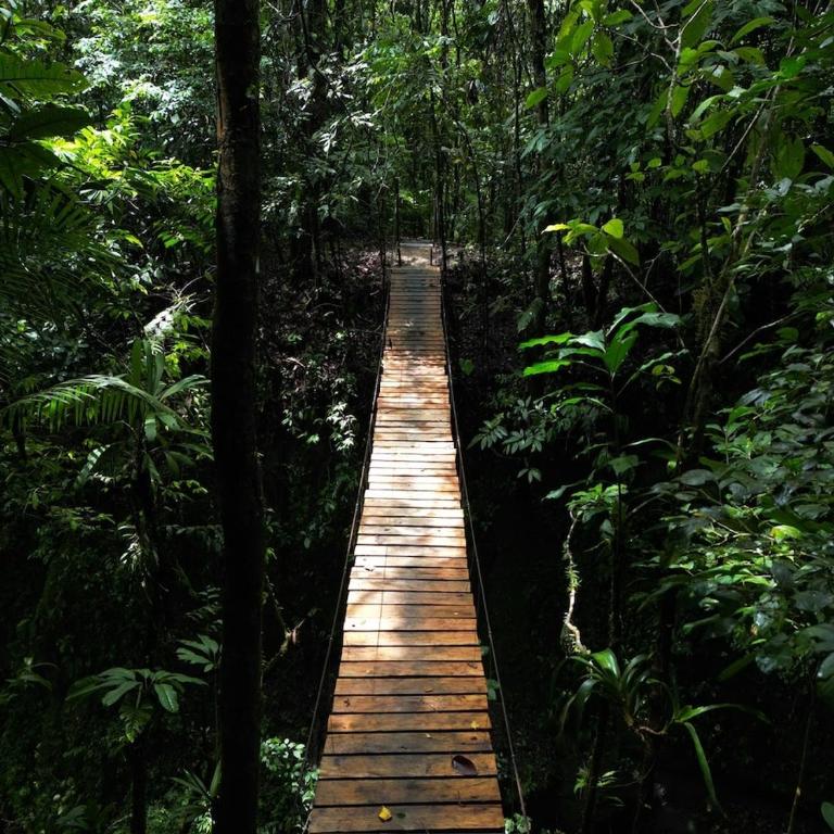 Wild Wasi - Private Jungle Villa - Three-Bedroom Villa - 22