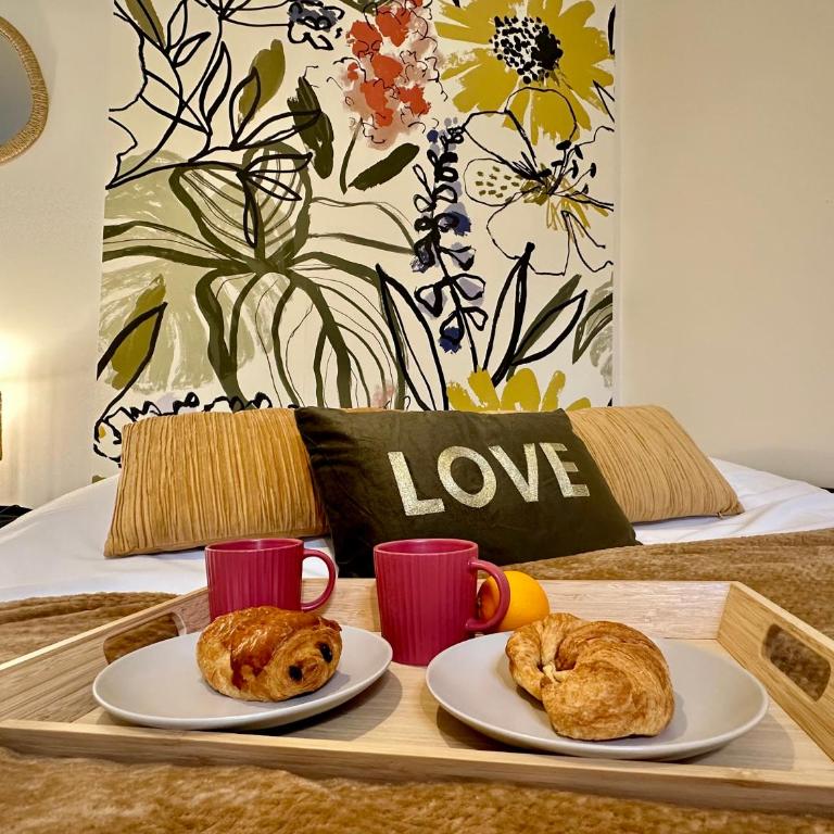 N Studio Flowers Tiercelins cosy au centre ville - Apartment mit 1 Schlafzimmer - 10