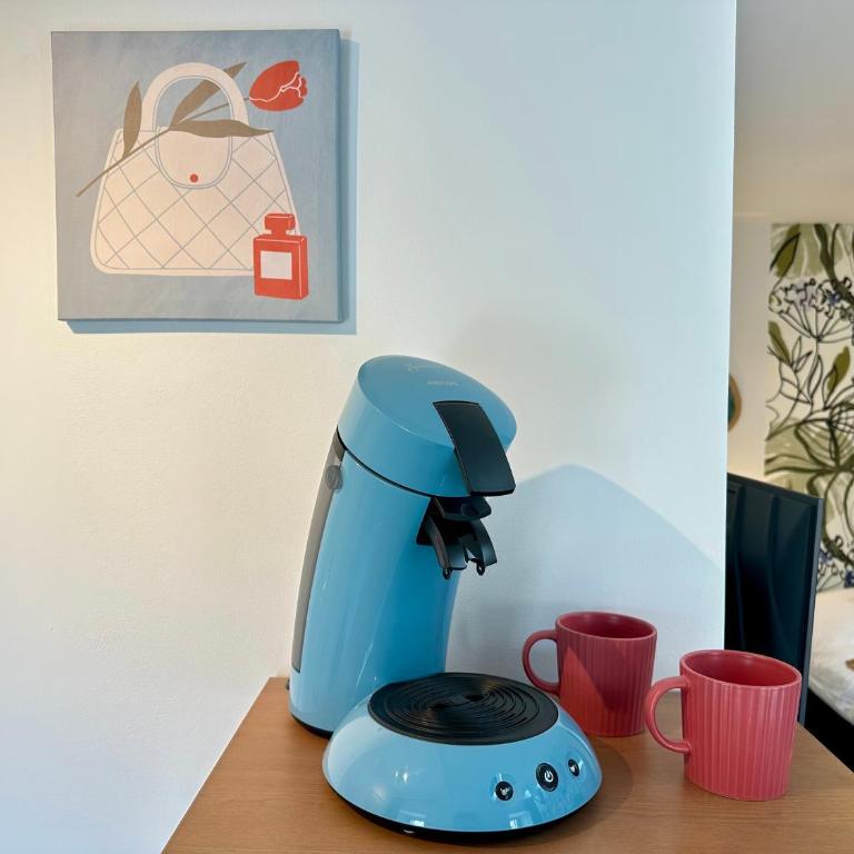 N Studio Flowers Tiercelins cosy au centre ville - Apartment mit 1 Schlafzimmer - 8