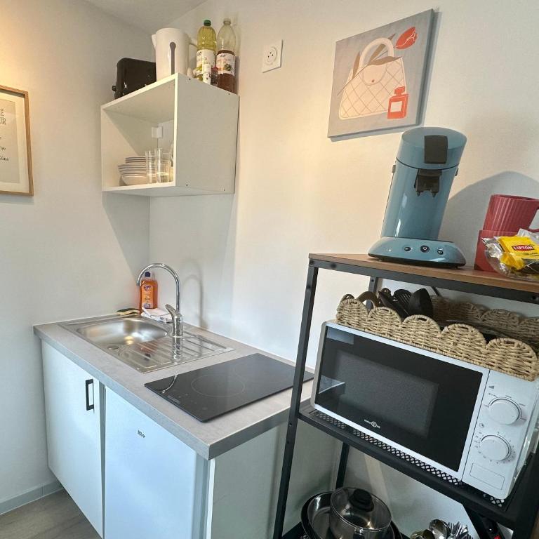 N Studio Flowers Tiercelins cosy au centre ville - Apartment mit 1 Schlafzimmer - 6
