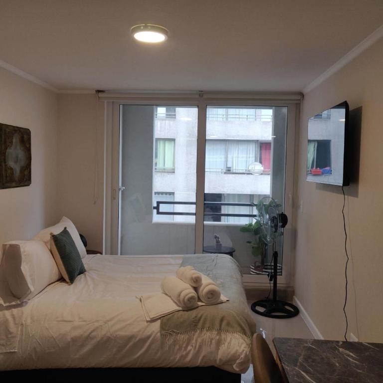 Relax and Enjoy the Best of Stgo Centro - Studio - 1