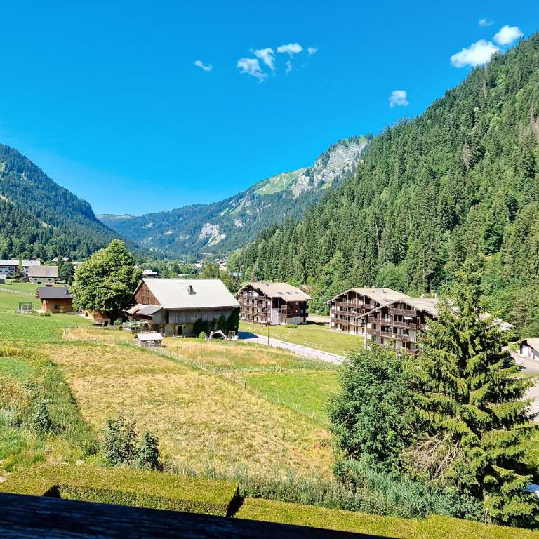 Chalet de lOy OY16 NATURE & MOUNTAIN 4 Pers - Apartamento - 12