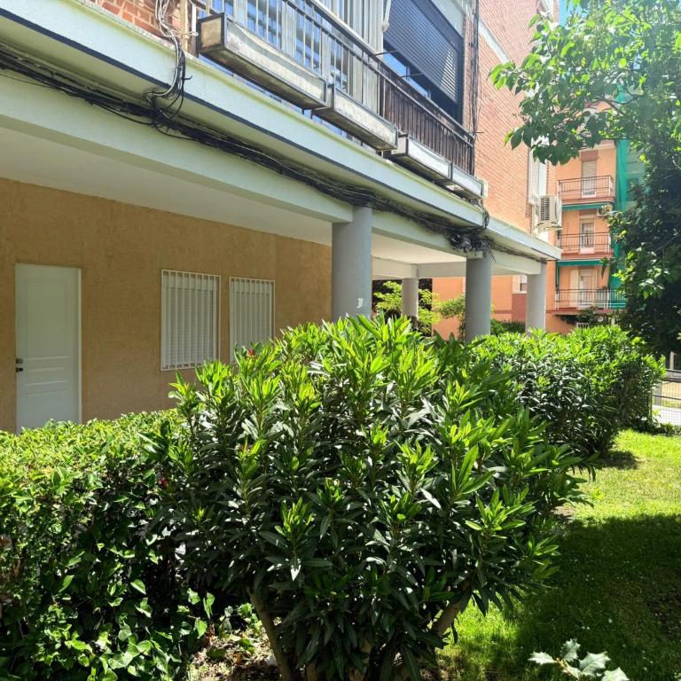 Hostale Blas Cabrera Madrid - Twin Room with Shared Bathroom - 7