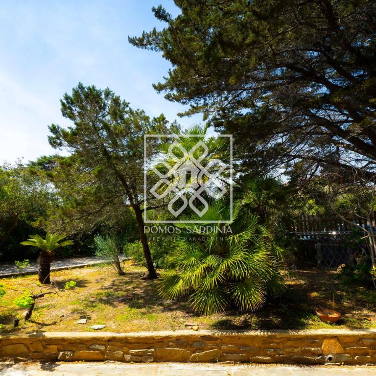 Villa Cala Reale - Villa - 14