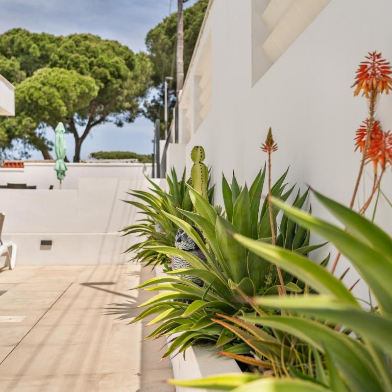 Casa Gerda modernes Haus mit Pool, ACs und Heizung, strandnah - Casa de 2 dormitorios - 2