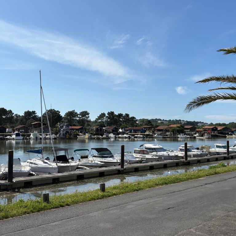 Villa Bonheur - Piscine face au port de La Teste - Ferienhaus - 22