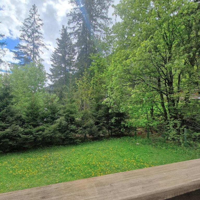 Duplex Apartment in Argentière Chamonix Valley - Appartement 1 Chambre - 12