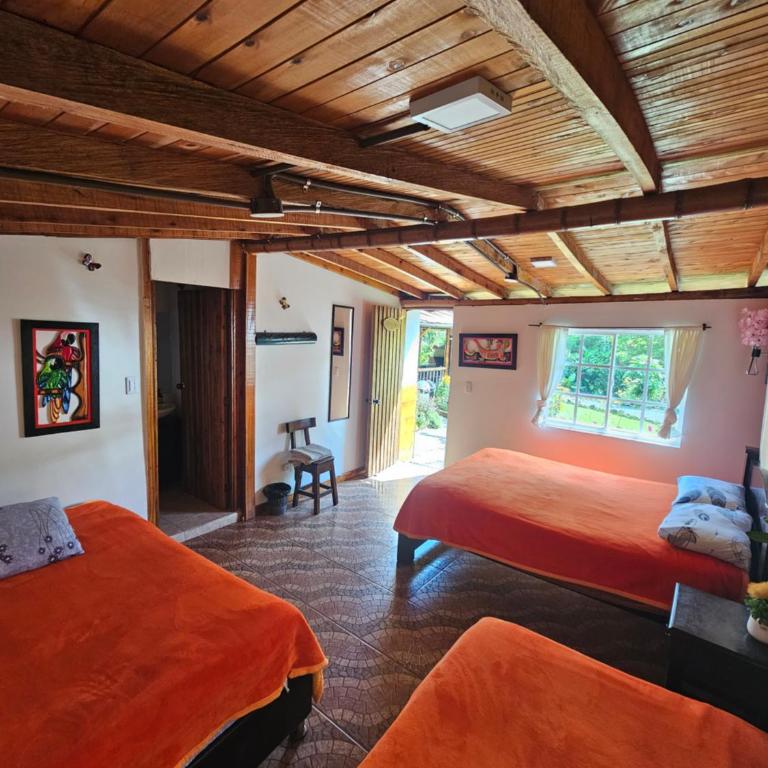 EcoLodge La Pluma - Habitación Triple Básica - 2