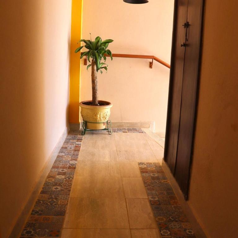 Casa amplia en el centro de Guanajuato - Three-Bedroom House - 32