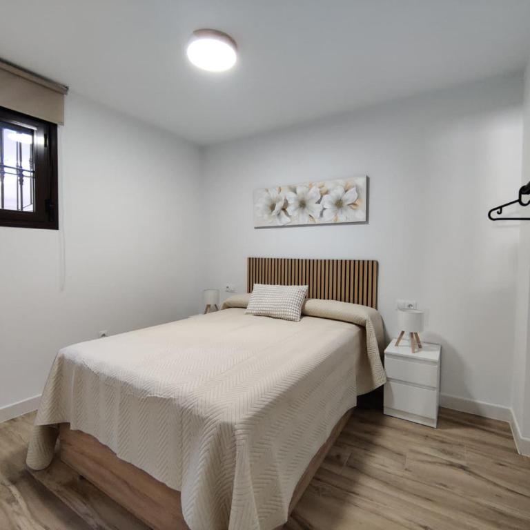 Apartamento Marina Histórico - Apartamento Estándar de 3 dormitorios - 8