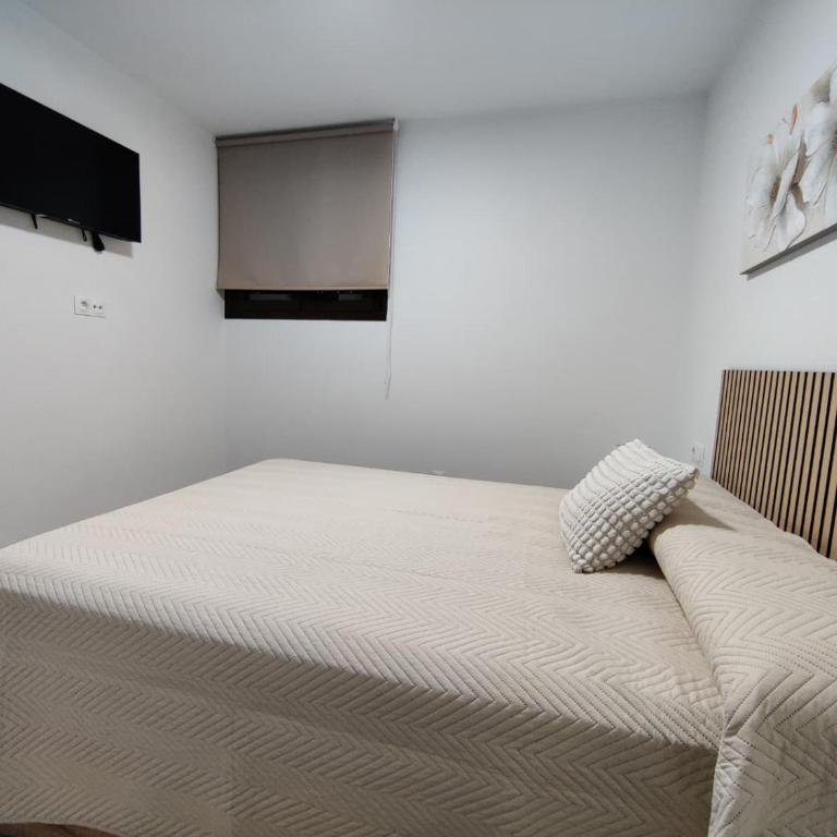 Apartamento Marina Histórico - Apartamento Estándar de 3 dormitorios - 10