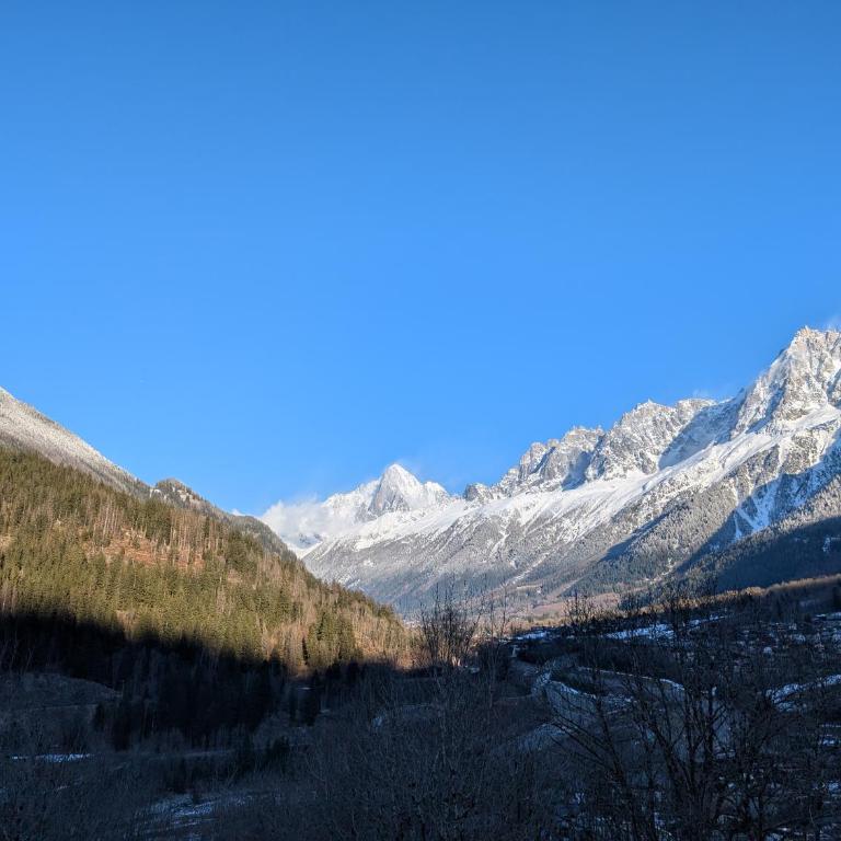 Apartment Leo - 2BR, Modern, Lift access, Mountain views - Appartement 2 Chambres - 21