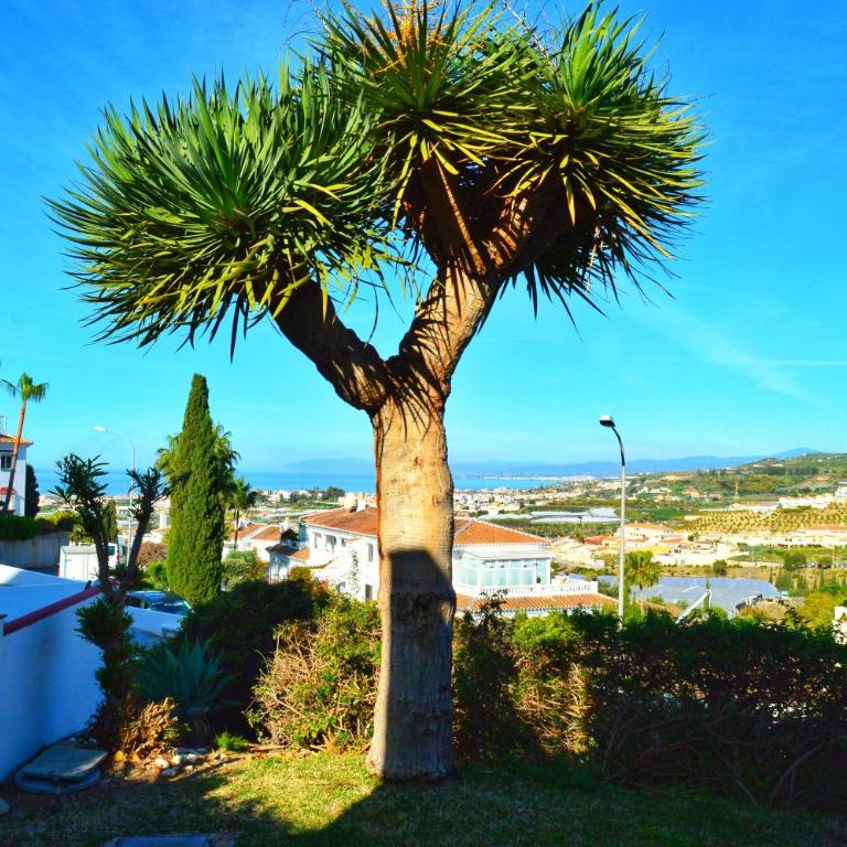 Stylish Holiday Apartment in Torrox Park with Sea View - Apartamento de 2 dormitorios - 3