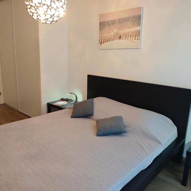 magnifique appartement Capbreton - Appartement 3 Chambres - 66