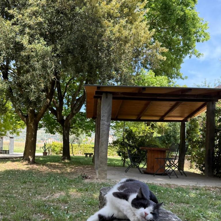 Cornici di verde - Cortona - Two-Bedroom House - 14