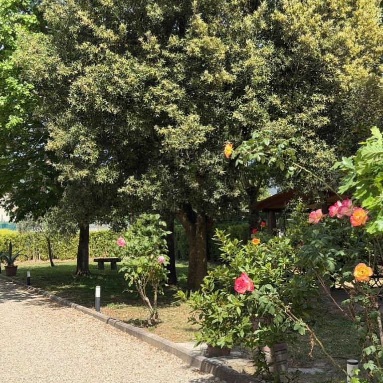 Cornici di verde - Cortona - Two-Bedroom House - 20